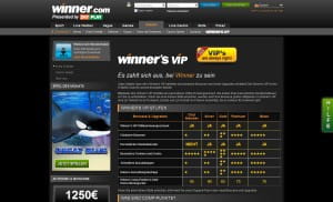 Winner VIP